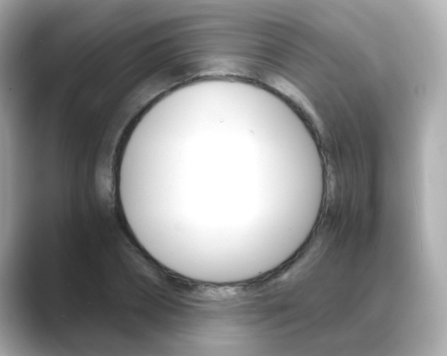 X0000089750882200706210922