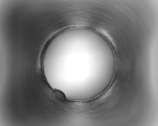 X0000089750883200706210922