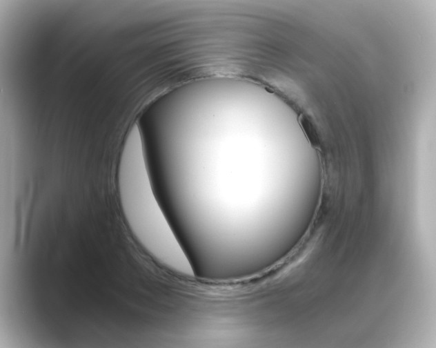 X0000089750889200706210922