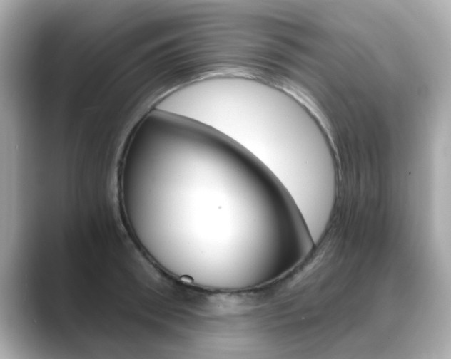 X0000089750898200706210921