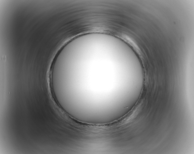 X0000089750899200706210921