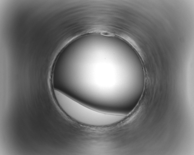 X0000089750901200706210921