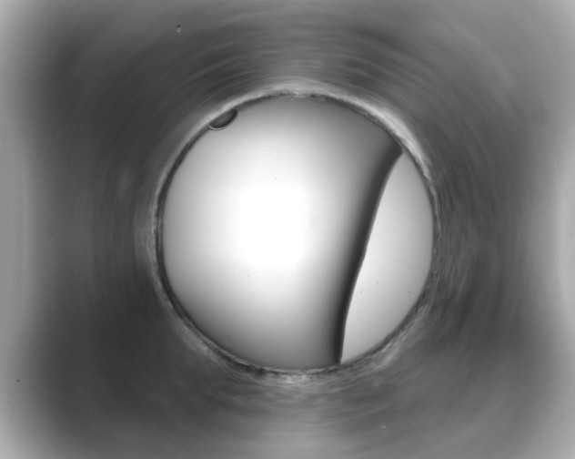 X0000089750903200706210921