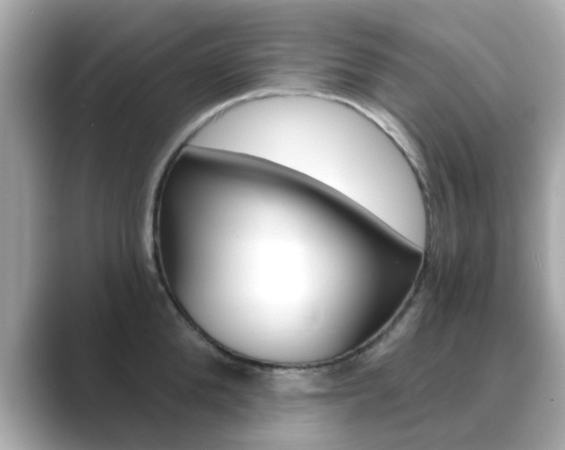 X0000089750904200706210921