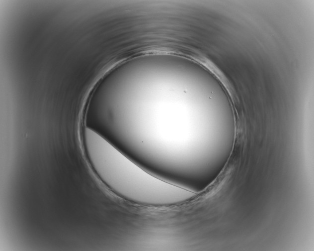 X0000089750909200706210921