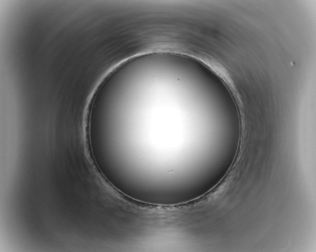 X0000089750912200706210921