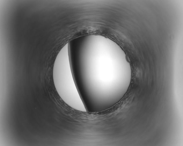 X0000089750914200706210921