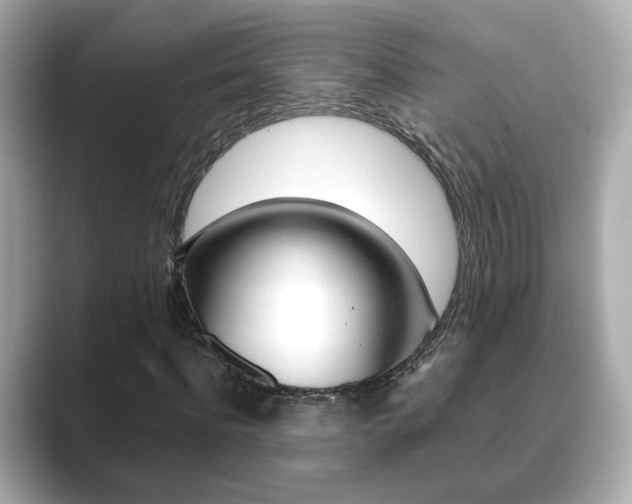X0000089750916200706210921