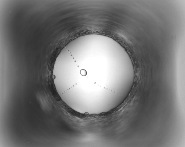 X0000089750917200706210921