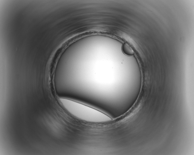X0000089750923200706210921
