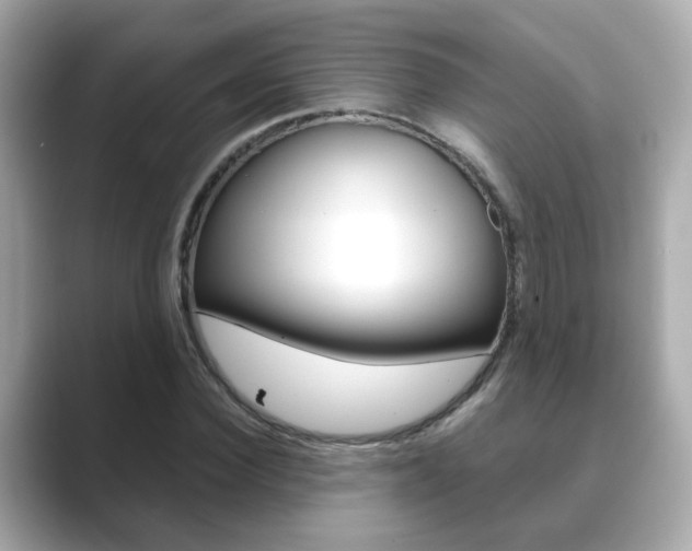 X0000089750924200706210921