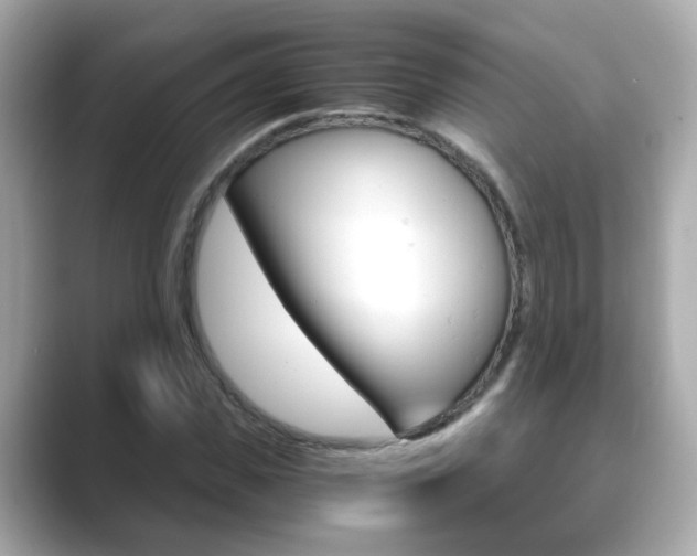 X0000089750925200706210921