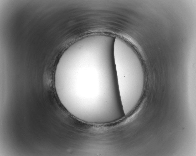X0000089750929200706210921