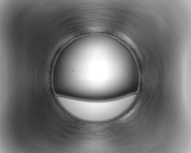 X0000089750930200706210921