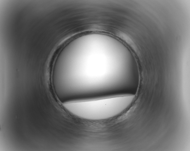 X0000089750931200706210921