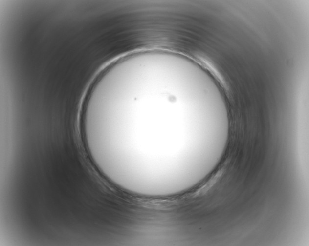 X0000089750932200706210921