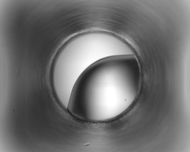 X0000089750934200706210921