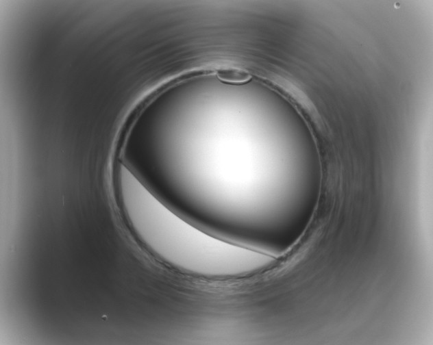 X0000089750936200706210921