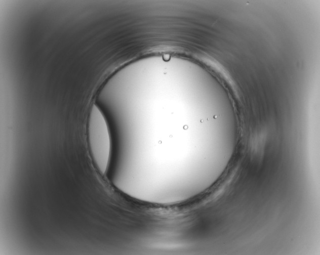 X0000089750937200706210921