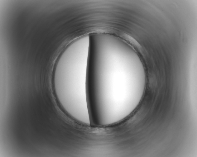 X0000089750938200706210921