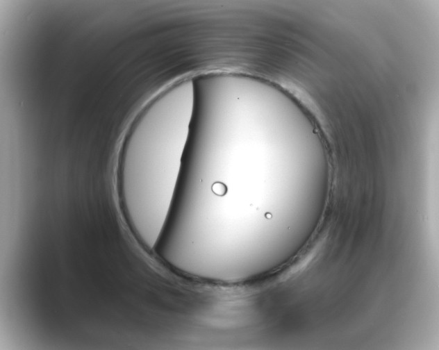 X0000089750941200706210921