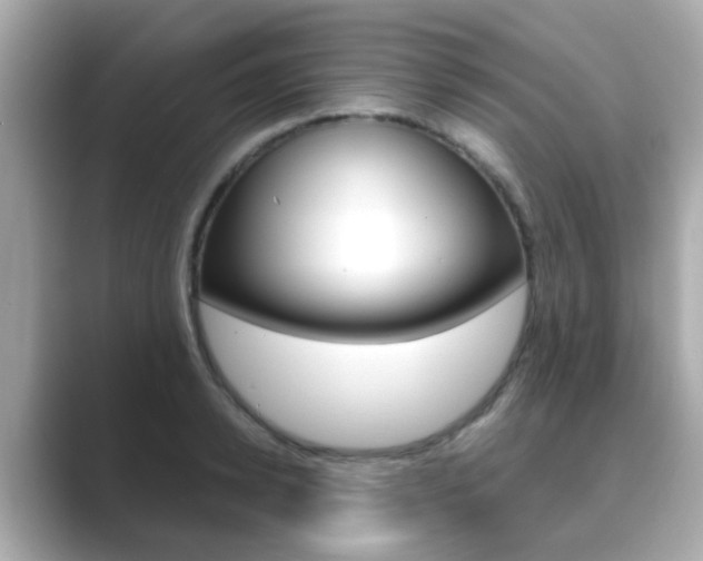 X0000089750942200706210921