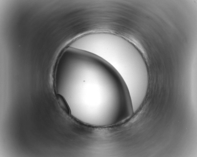 X0000089750944200706210921