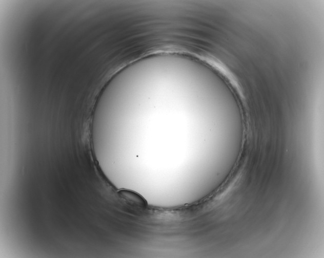 X0000089750945200706210921