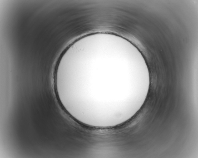 X0000089750950200706210921