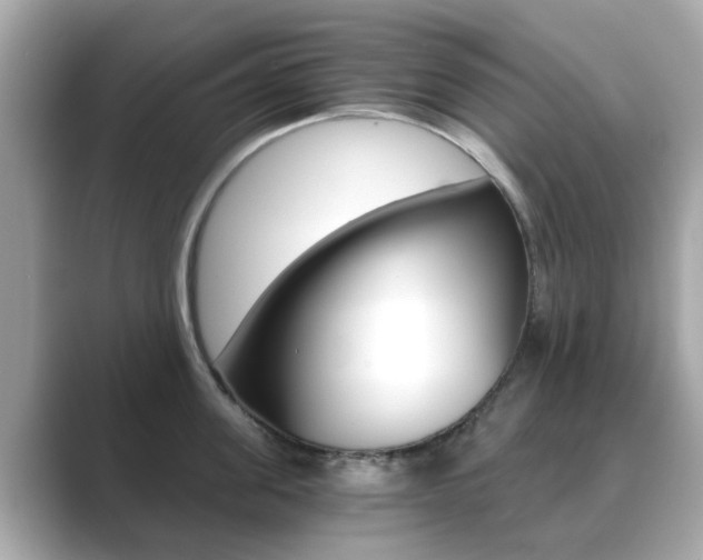 X0000089750955200706210921