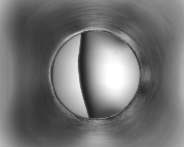 X0000089750958200706210921