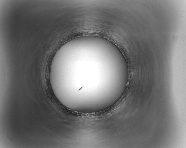 X0000089750961200706210921