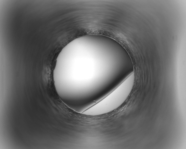 X0000089750964200706210921