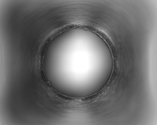X0000089750968200706210921