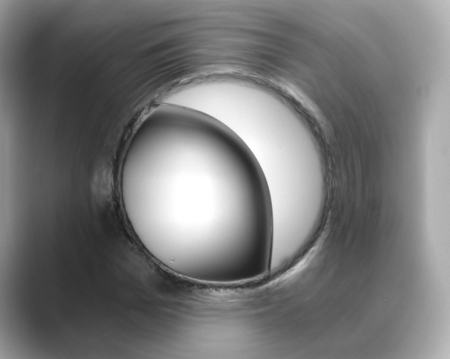 X0000089750969200706210920