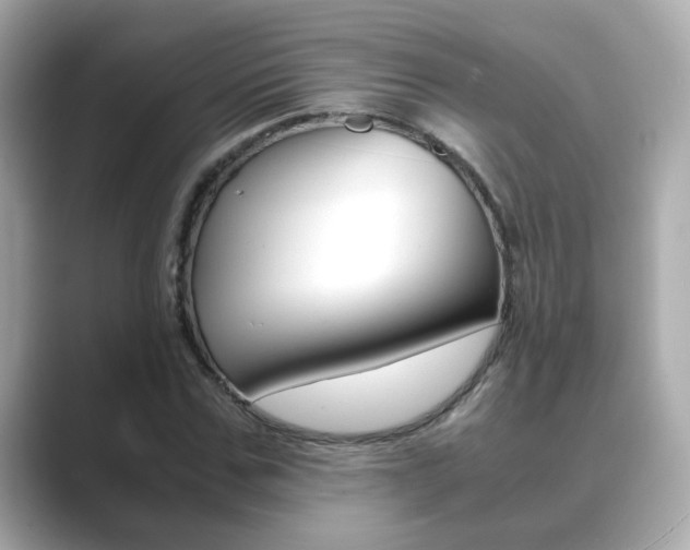 X0000089750971200706210920