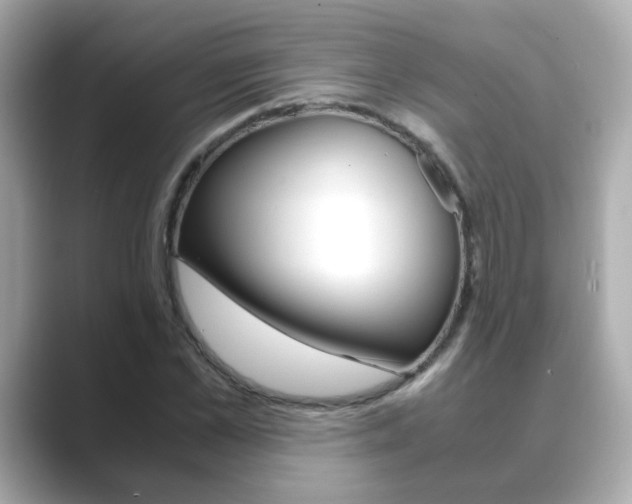 X0000089750973200706210920