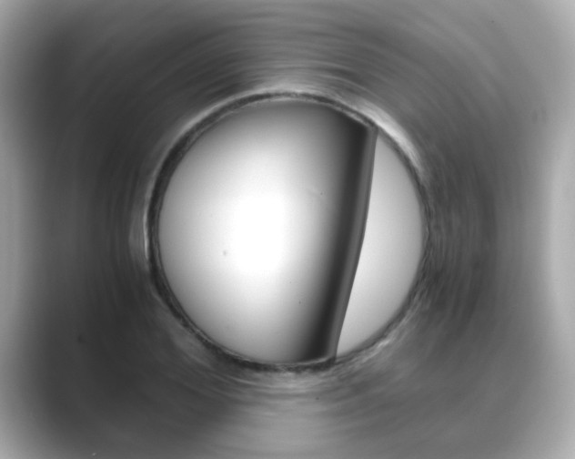 X0000089750980200706210920