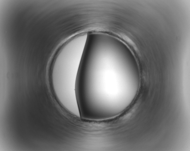 X0000089750981200706210920