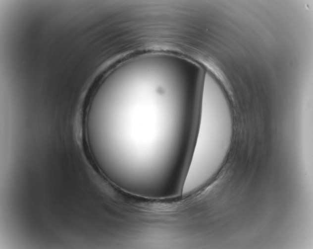 X0000089750984200706210920