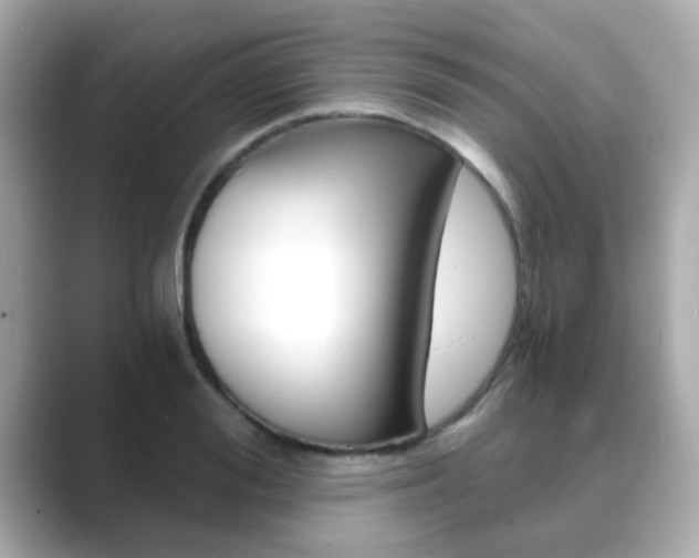 X0000089750988200706210920