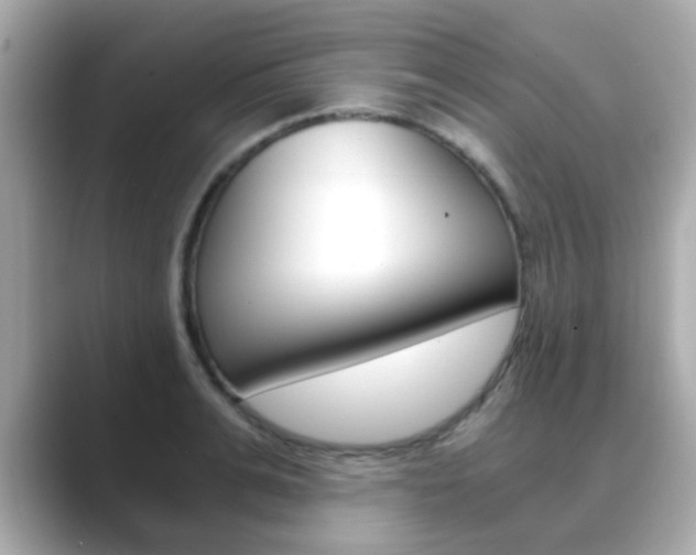 X0000089750991200706210920