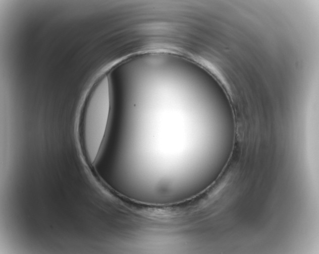 X0000089750995200706210920