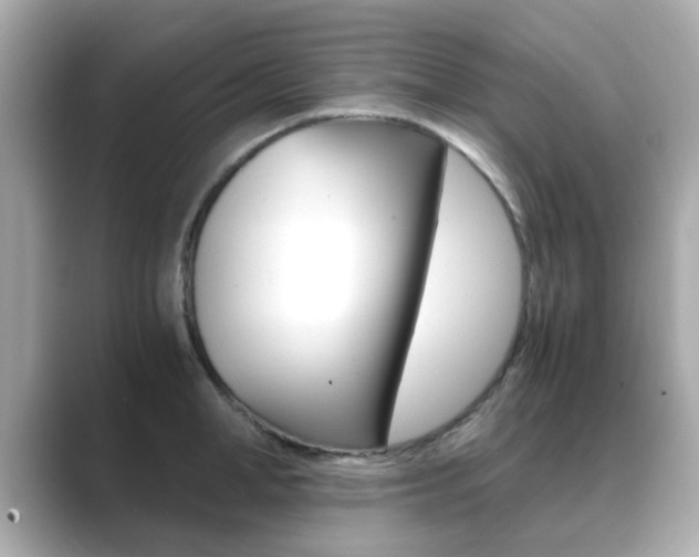 X0000089750998200706210920