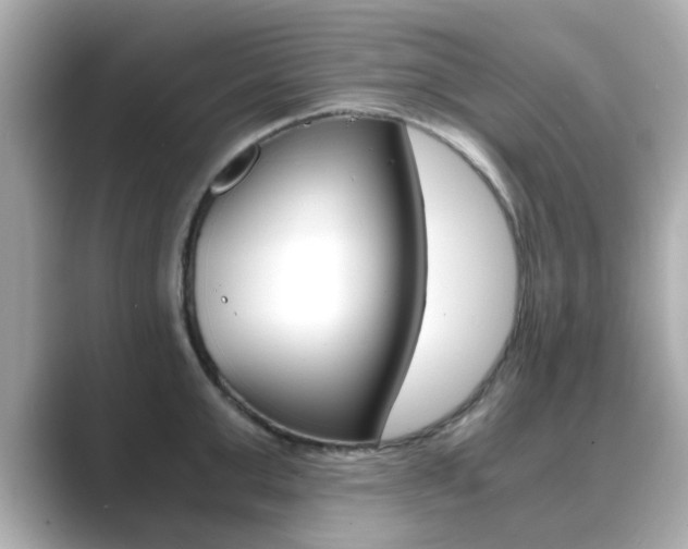 X0000089750999200706210920