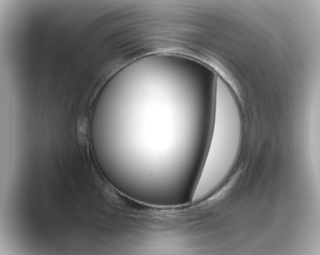 X0000089751001200706210920