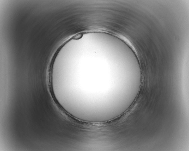 X0000089751003200706210920