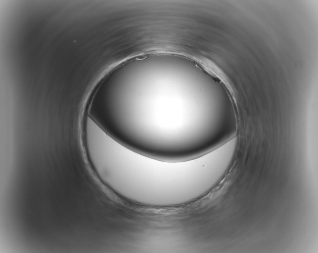 X0000089751005200706210920