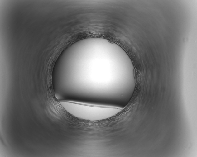 X0000089751009200706210919