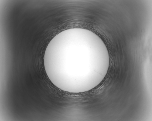 X0000089751010200706210919